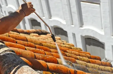 Nettoyage de toitures - Saint-Germain-en-Laye